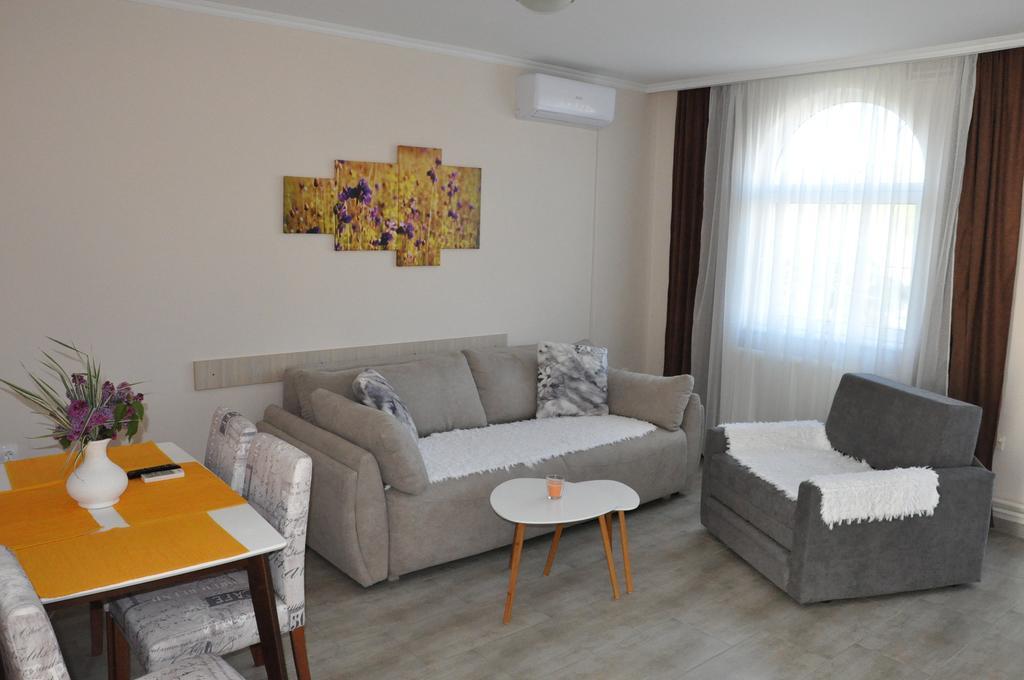 Aria Apartmani Vrdnik Esterno foto