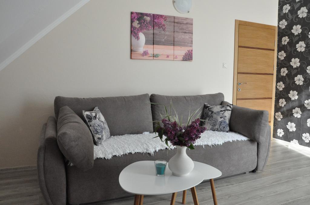 Aria Apartmani Vrdnik Esterno foto